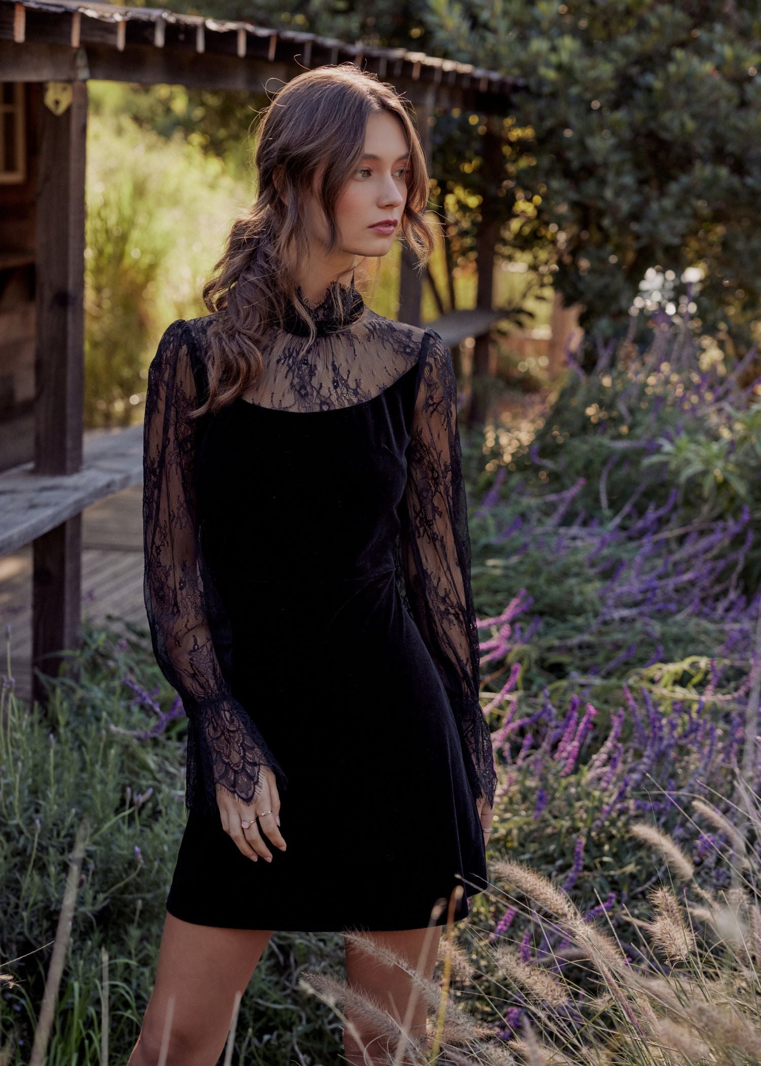 ワンピース Motifs Lace Velor Mini Dress Motifs Lace Velor Mini Dress