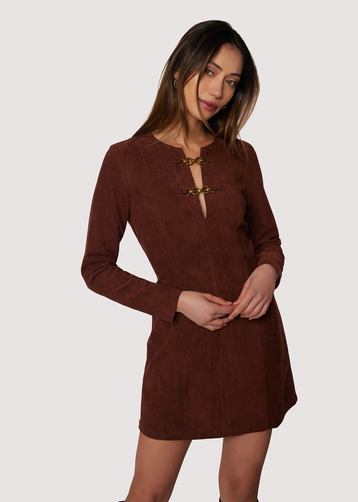 Fall Enchantment Mini Dress