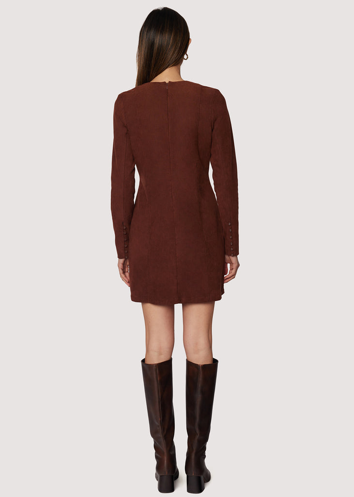 Fall Enchantment Mini Dress