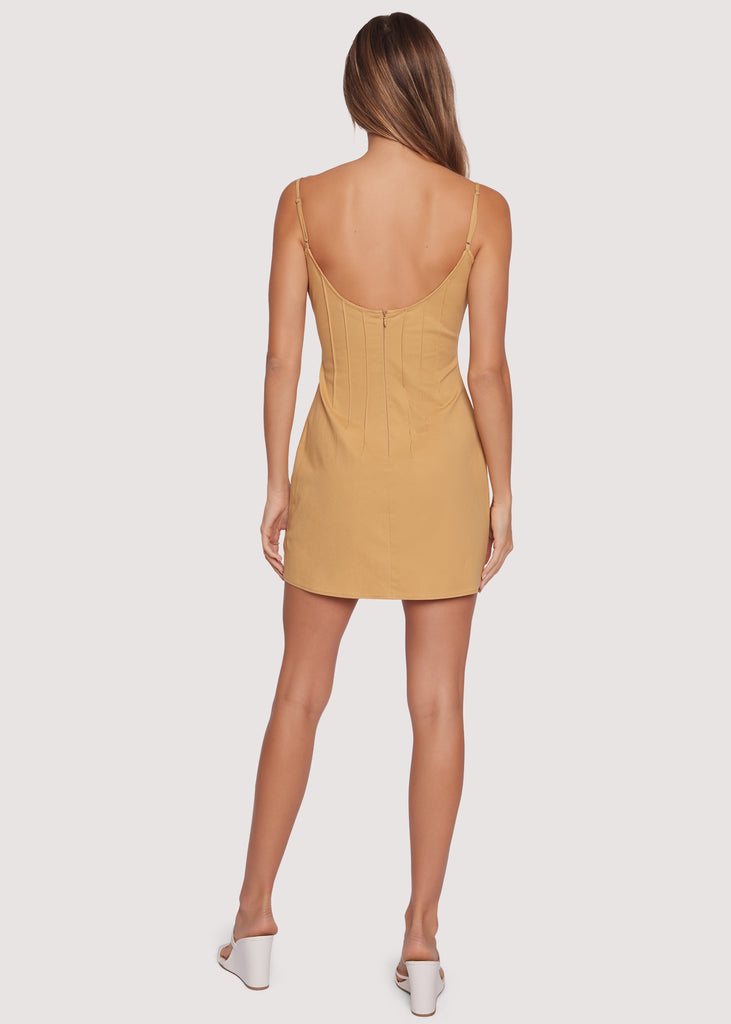 Terra Mini Dress