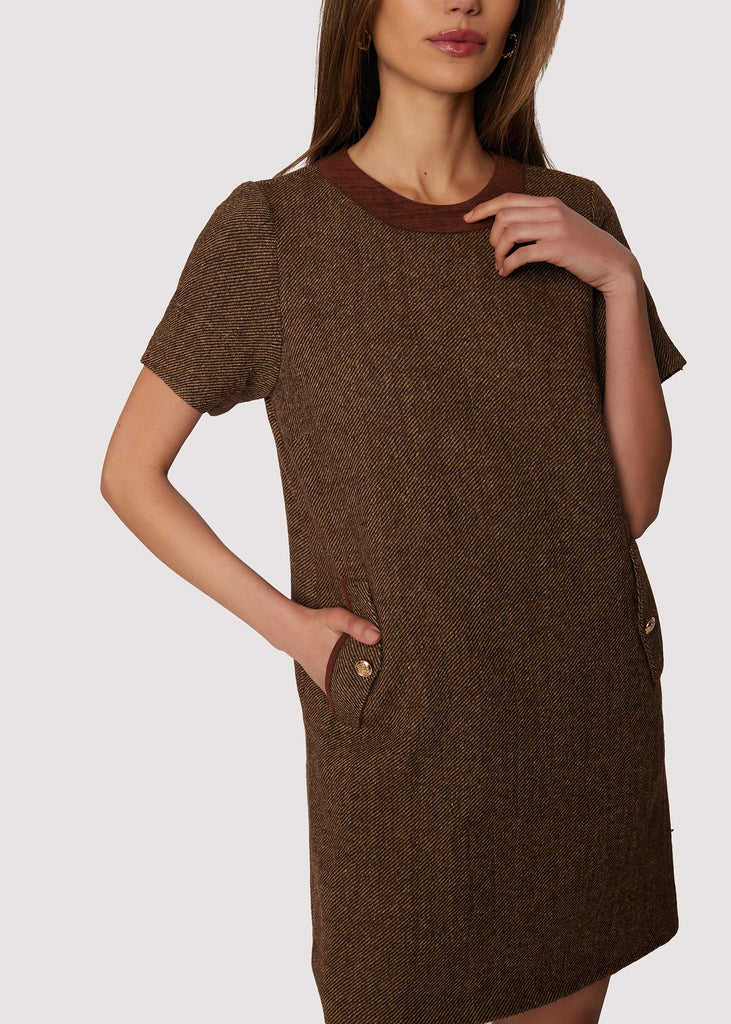 Noble Embrace Mini Dress