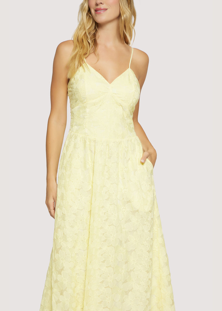 Bella Vista Midi Dress