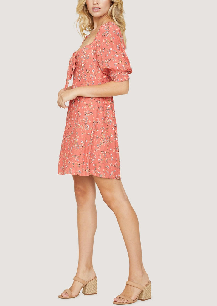 Everyday Adventures Mini Dress