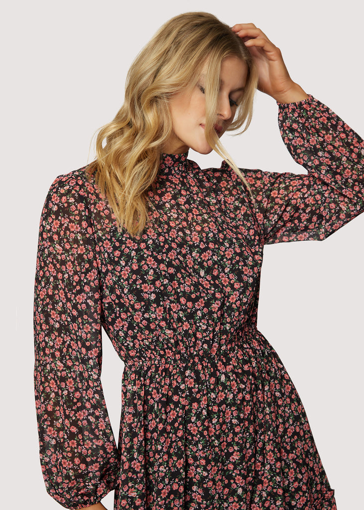 Rose Garden Long Sleeve Maxi Dress