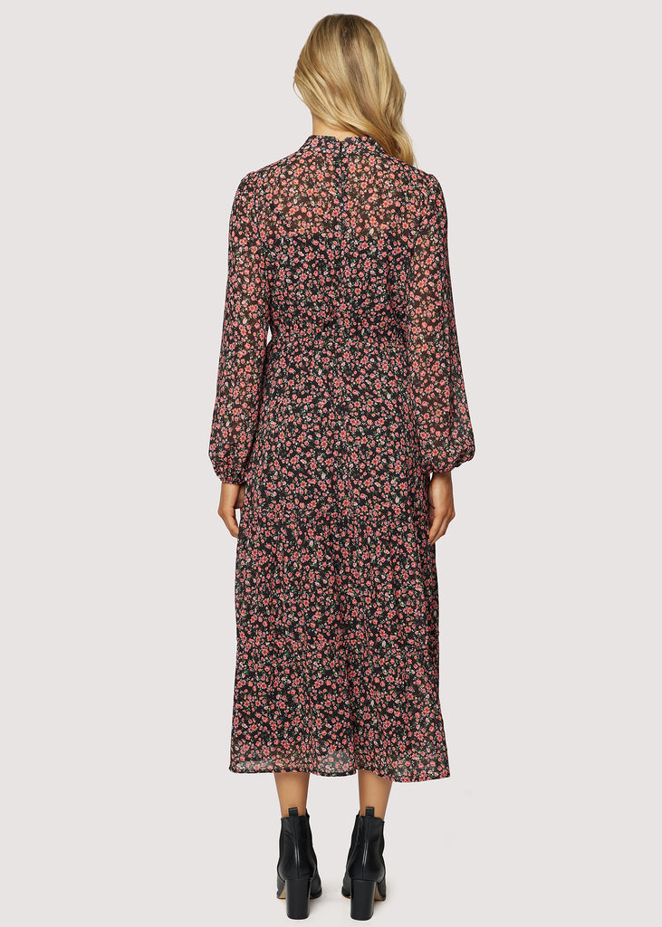 Rose Garden Long Sleeve Maxi Dress