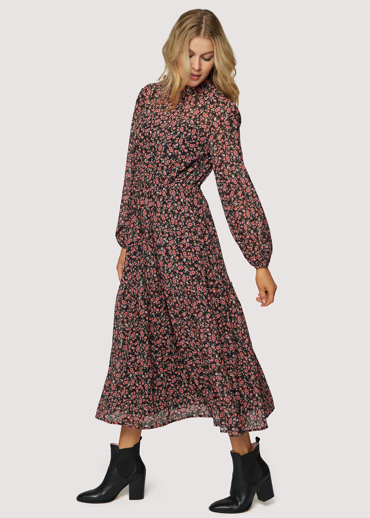 Rose Garden Long Sleeve Maxi Dress